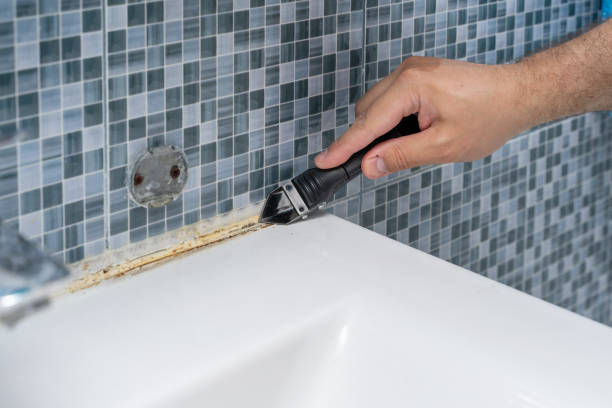 Best Kitchen Mold Remediation in Oak Forest, IL